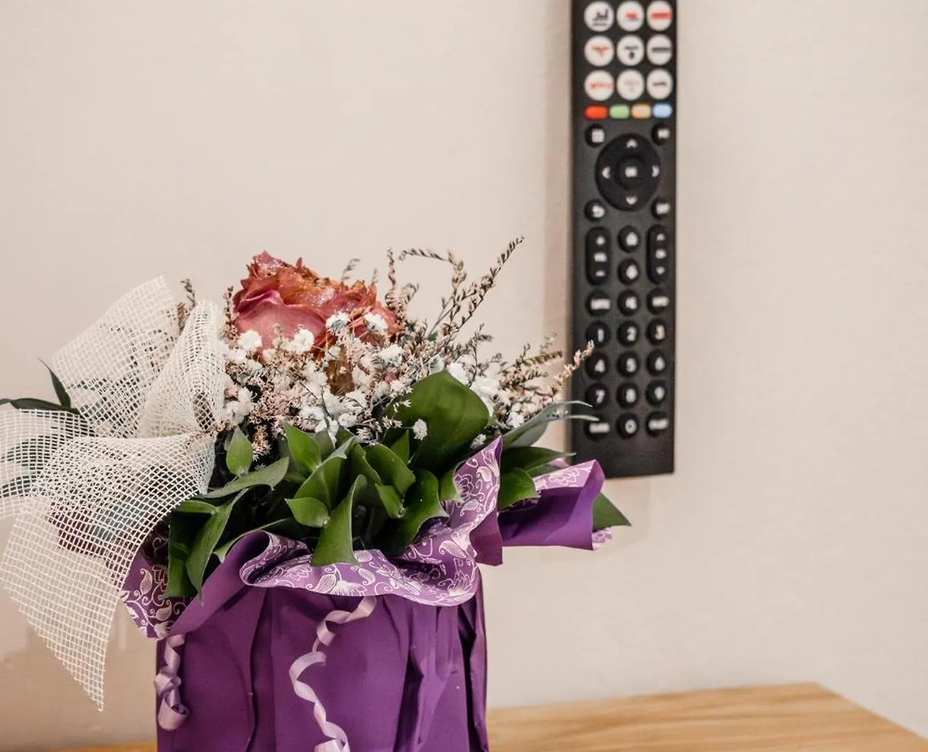 Appartement Urban Oasis à Rijeka Croatie